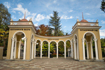 Obraz premium Botanical garden in Sukhumi, Abkhazia.