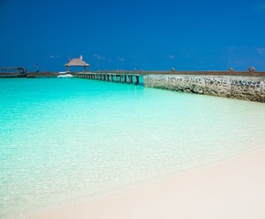 Maldives,  tropical sea background!