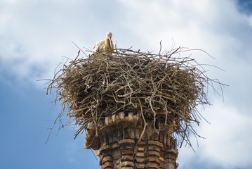 Villafranca de Ebro (Aragon, Spain)