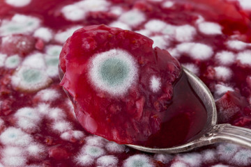 jam is covered with mold