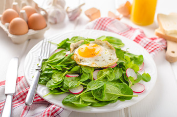 Fresh spinach, radish salad with fried egg