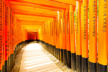Fushimi Inari Shrine Curved Writing Torii Gates H
