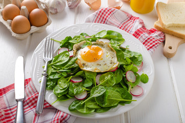 Fresh spinach, radish salad with fried egg