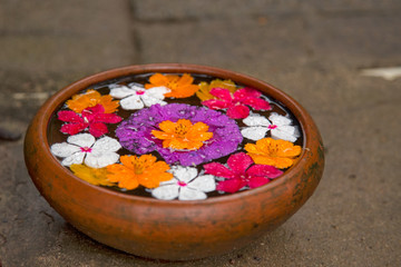 цветы в воде в  глиняной вазе