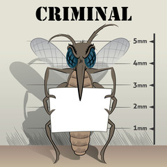 mosquitoes sting in jail, holding poster