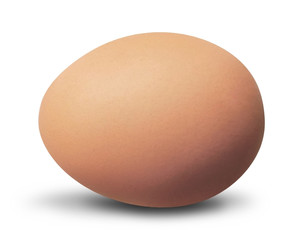 Brown egg, isolated on White
