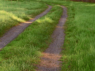Fototapeta na wymiar Dirt road on the green grass meadow in summer