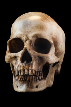 Human skull on black background