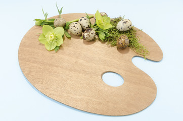 Easter palette decoration with seven boiled quail eggs plus hellebore on a blue background