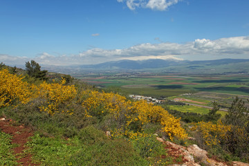 Landscape With Golan Heights,Israel .