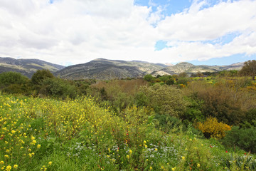 Fototapeta na wymiar Wild Landscape With Golan Heights,Israel