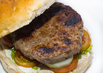 hamburger close-up shot on a white background