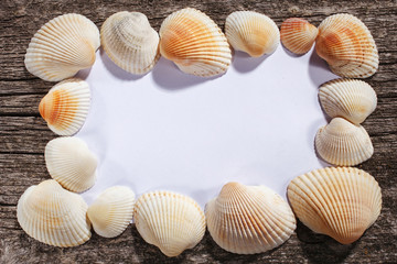 blank sheet of paper and shells on wooden background