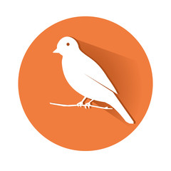 This is a vector illustration of a bird
