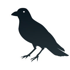 Obraz premium This is an illustration of a crow symbol
