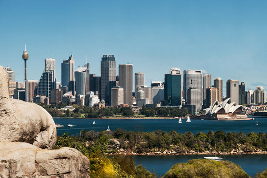 Sydney city skyline and harbour