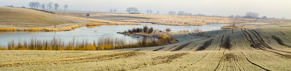 łąka wczesną wiosną © Mike Mareen