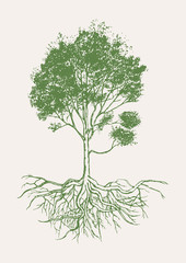 Fototapeta premium Hand drawn of tree with roots.Vecter and illustration.