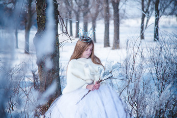 Snowy princess © Olena Seiryk