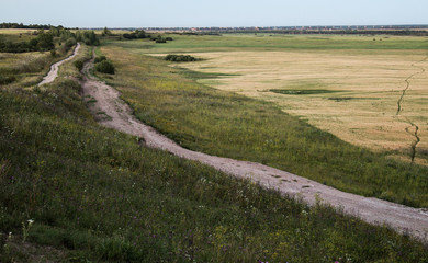 дорога в поле