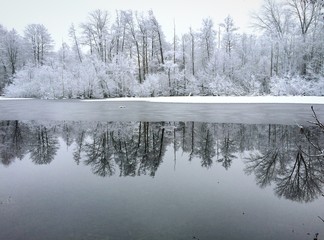 Winter on the lake