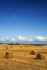 Fototapeta na wymiar Agricultural landscape with bales of straw