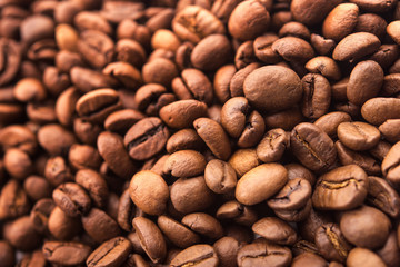 Closeup of coffee beans