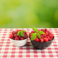 fresh raspberry fruits