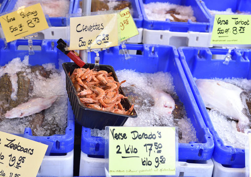 Outdoor Market On The Town Square Of Haarlem. Weekly Market With Fresh Fish On Crushed Ice. Various Sorts Of Fish Of The North Sea Region. Name Tags With Dutch Text.