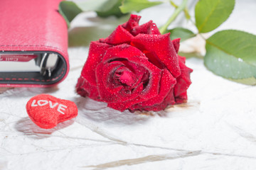 Valentine red roses close up