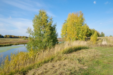Autumn view of the river Teach in the suburbs
