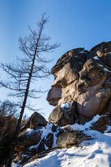 Winter landscape in Siberia