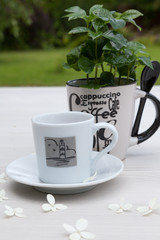 Small espresso cup with coffee and a coffee mug with green sprouts of coffee tree on a white wooden table