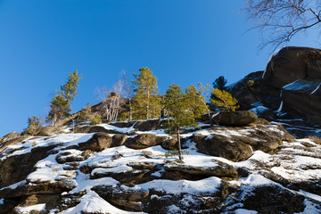 Winter landscape in Siberia