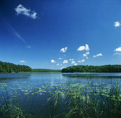 Fototapeta na wymiar Poland. Lake Czajcze scenery