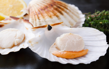 Raw fresh scallops in the shell with  lemon