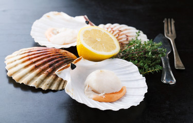 Raw fresh scallops in the shell with lemon