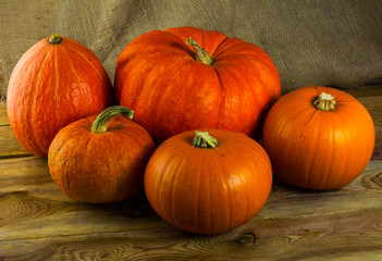 Five  pumpkins on dark wooden background
