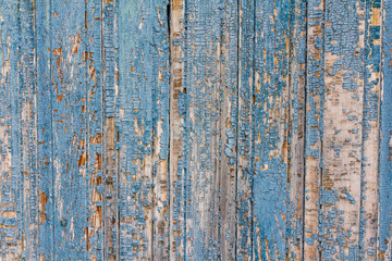 Texture of old wood with worn blue paint, vintage, background