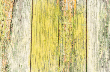 Obraz premium Alte Holz Bretter Farbe Verwittert Hintergrund Textur Leer