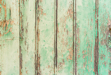 Shabby Holz Textur Farbe Mint Verwittert Hintergrund