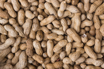 groundnut background