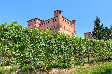 Fototapeta na wymiar Vineyards of Grinzane Cavour in Italy.