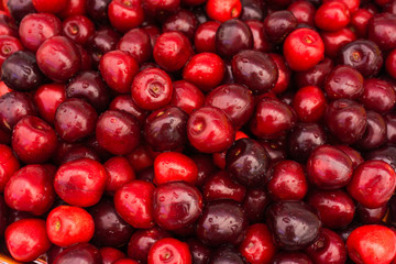 Red Cherries. Cherry selection