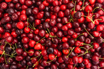 Red Cherries. Cherry selection