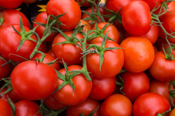 red tomatoes background. Group of tomatoes