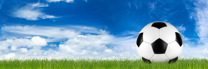 Fototapeta na wymiar wide retro soccer ball on grass banner in front of blue cloudy sky