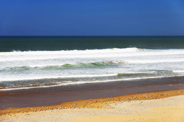 Atlantic beach near Essaouira, Morocco, Africa
