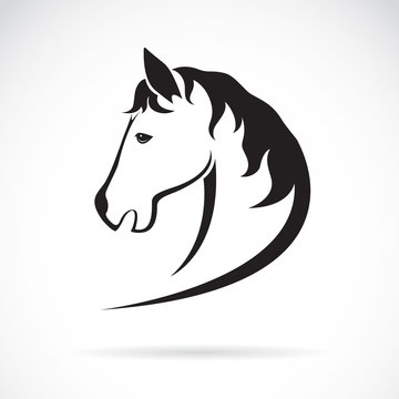 Vector image of a horse head design on white background