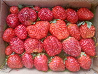 Directly above shot of fresh strawberries for sale